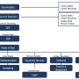 mti_structure.jpg